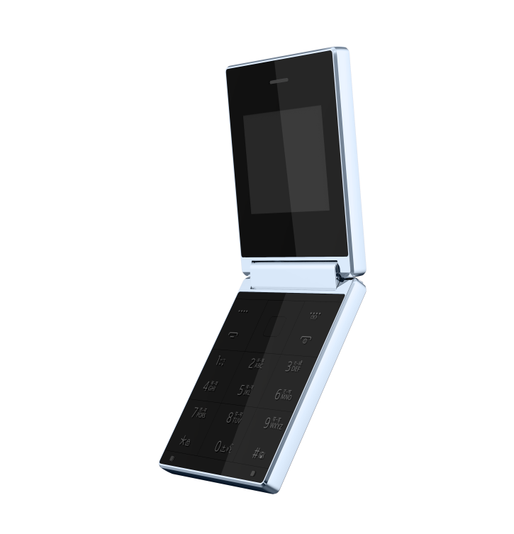 FLIP 1